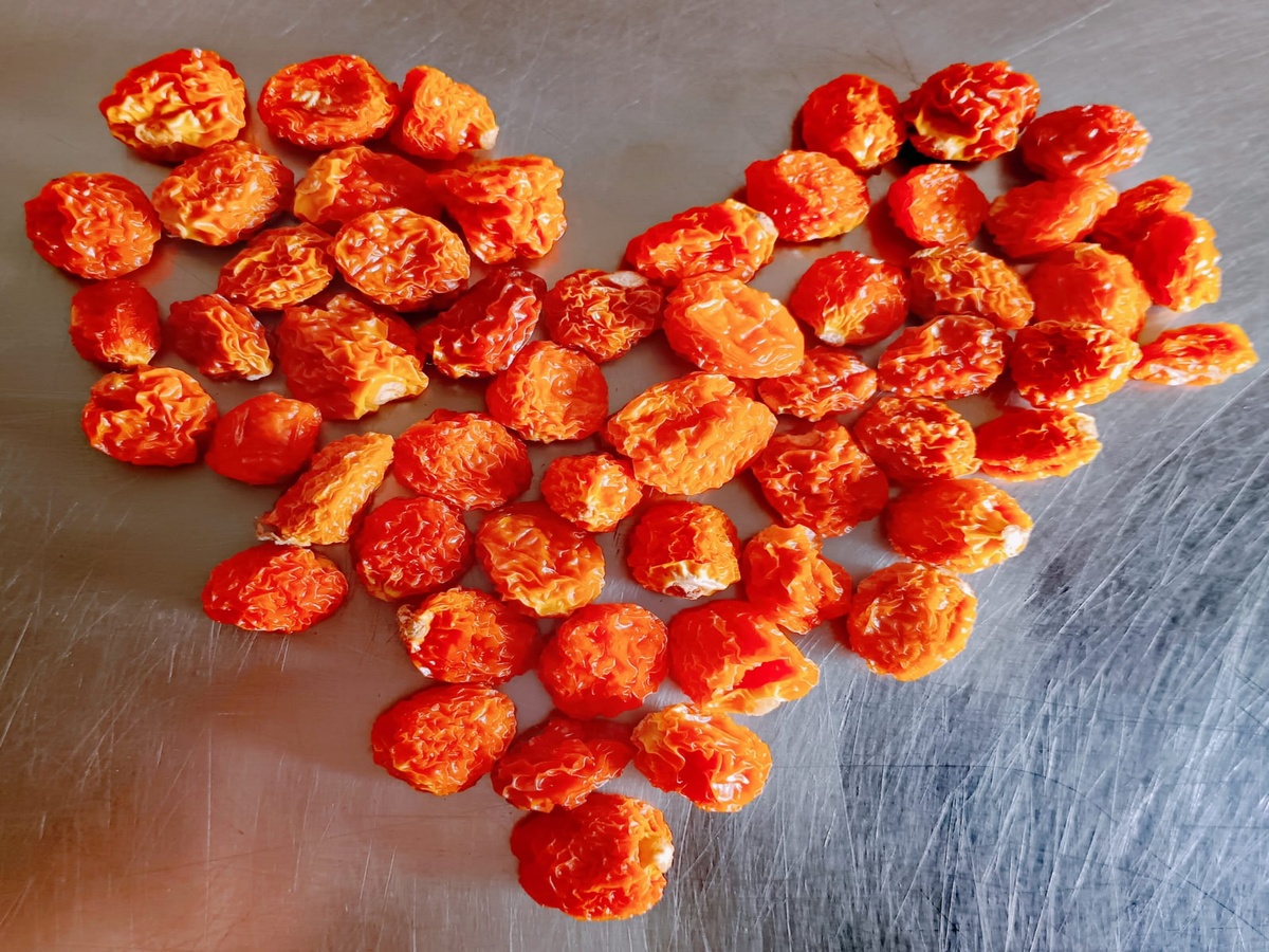Mermelada de aguaymanto 250g